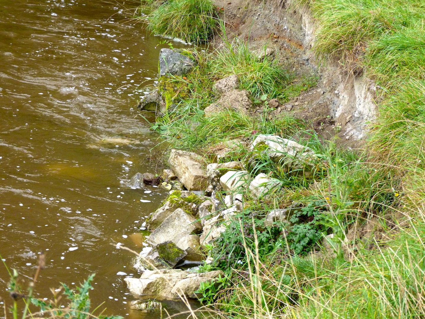 A picture of a river cliff